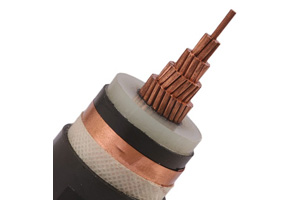 Cable Eléctrico de Un Núcleo N2XSY (CU/XLPE/CTS/PVC)