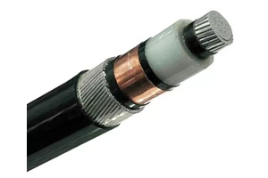 Cable Eléctrico de un Núcleo NA2XSRY (AL/XLPE/SWA/PVC)